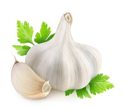 Vegetable